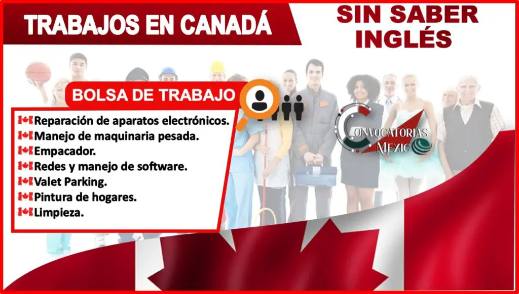 Se Puede Trabajar En Canad Sin Saber Ingl S Haras Dadinco