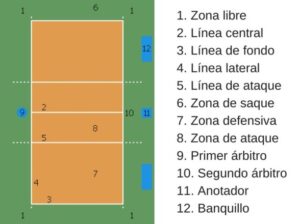 Cuáles son las 3 reglas más importantes del voleibol Haras Dadinco