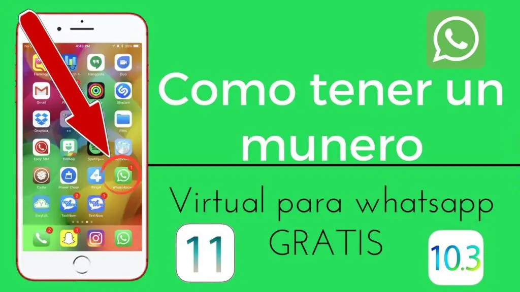 C Mo Conseguir Un N Mero Virtual Para Whatsapp Haras Dadinco