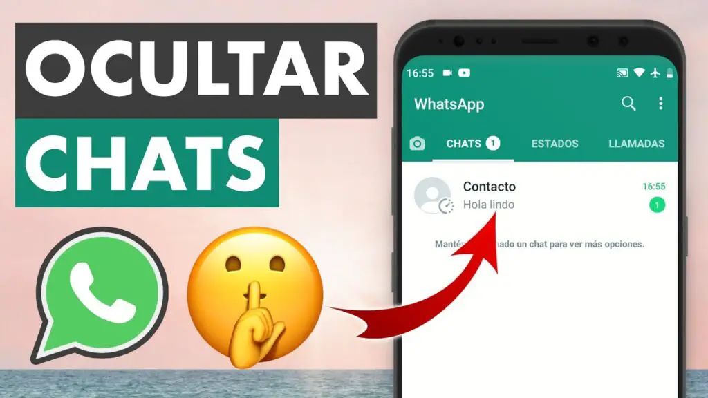 C Mo Hacer Para Ocultar Un Chat En Whatsapp Haras Dadinco