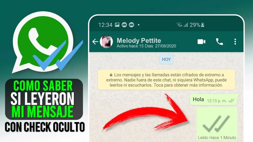 Cómo saber si leyeron o no Mi mensaje en WhatsApp Haras Dadinco