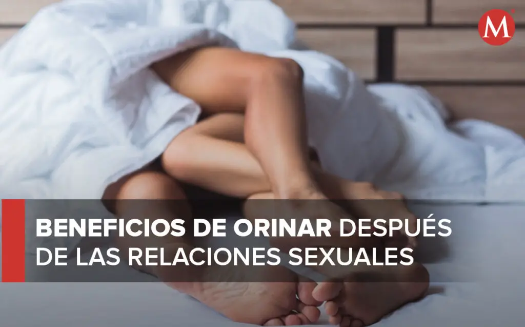 Qu Pasa Despu S De Haber Tenido Relaciones Sexuales Haras Dadinco