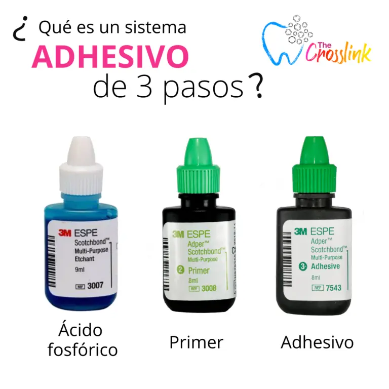 Cuál fue el primer adhesivo dental Haras Dadinco