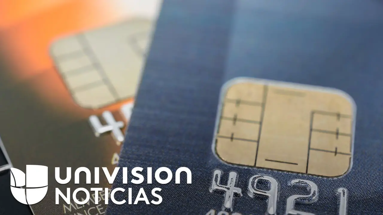 ¿cómo Cuidar El Chip De Mi Tarjeta Haras Dadincoemk 4100