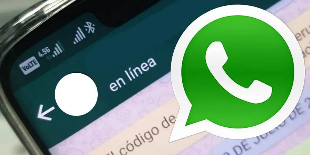 ¿cómo Saber Si Me Borraron De Los Contactos De Whatsapp Haras Dadincoemk 7395