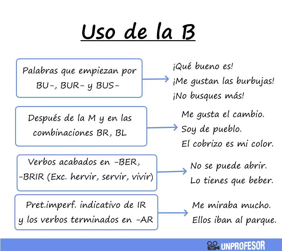 ¿Cuál Es El Significado De La Palabra B? - Haras Dadinco