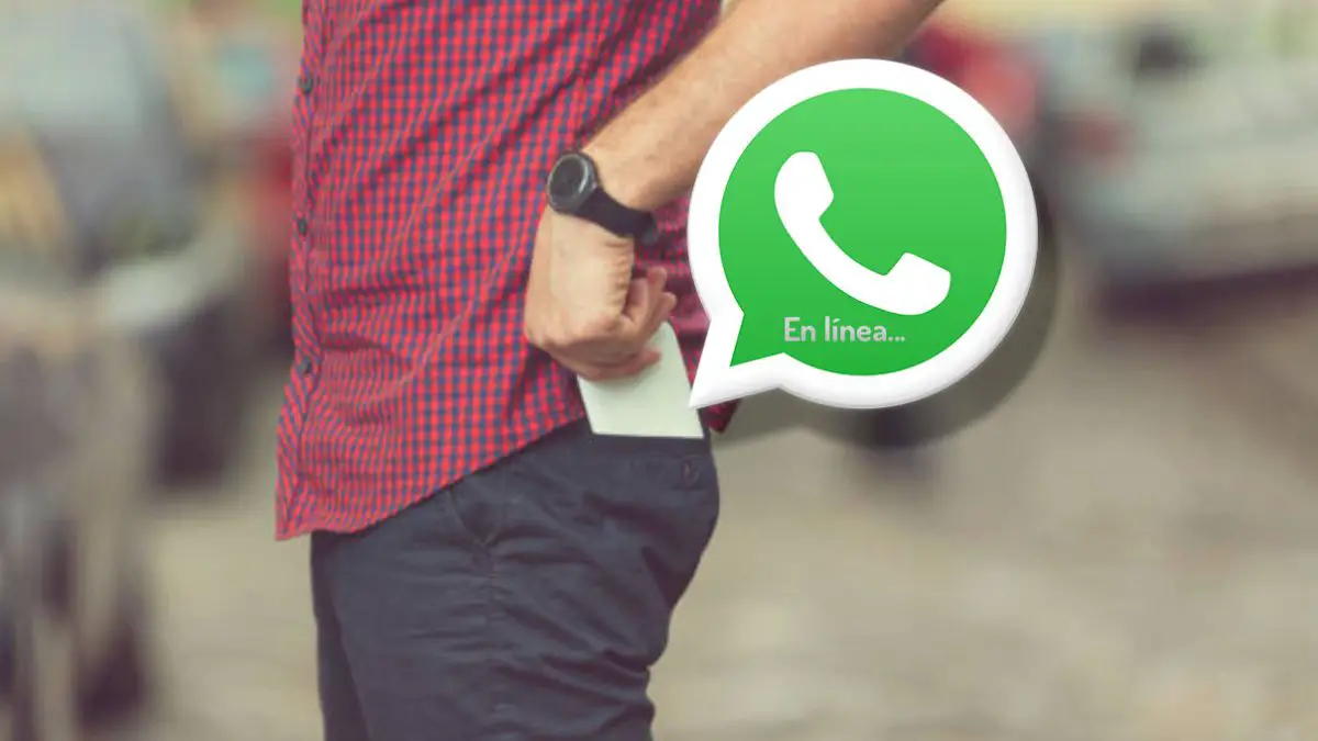 ¿cuánto Tiempo Tarda En Desaparecer El En Línea De Whatsapp Haras Dadincoemk 4457