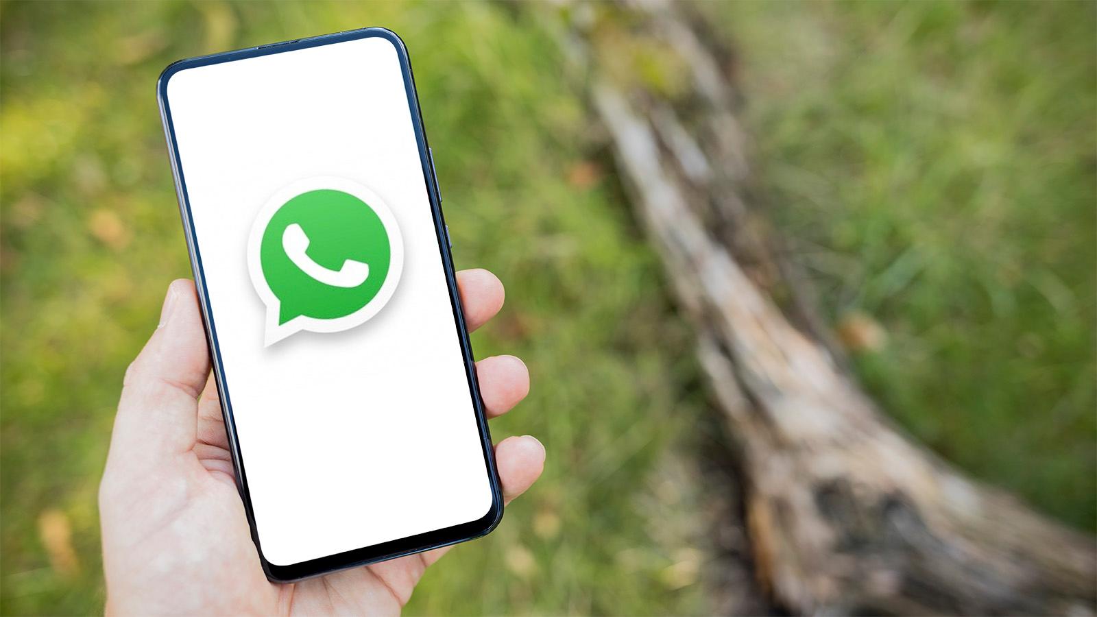 ¿cómo Proteger Tu Privacidad En Whatsapp Haras Dadincoemk 0545