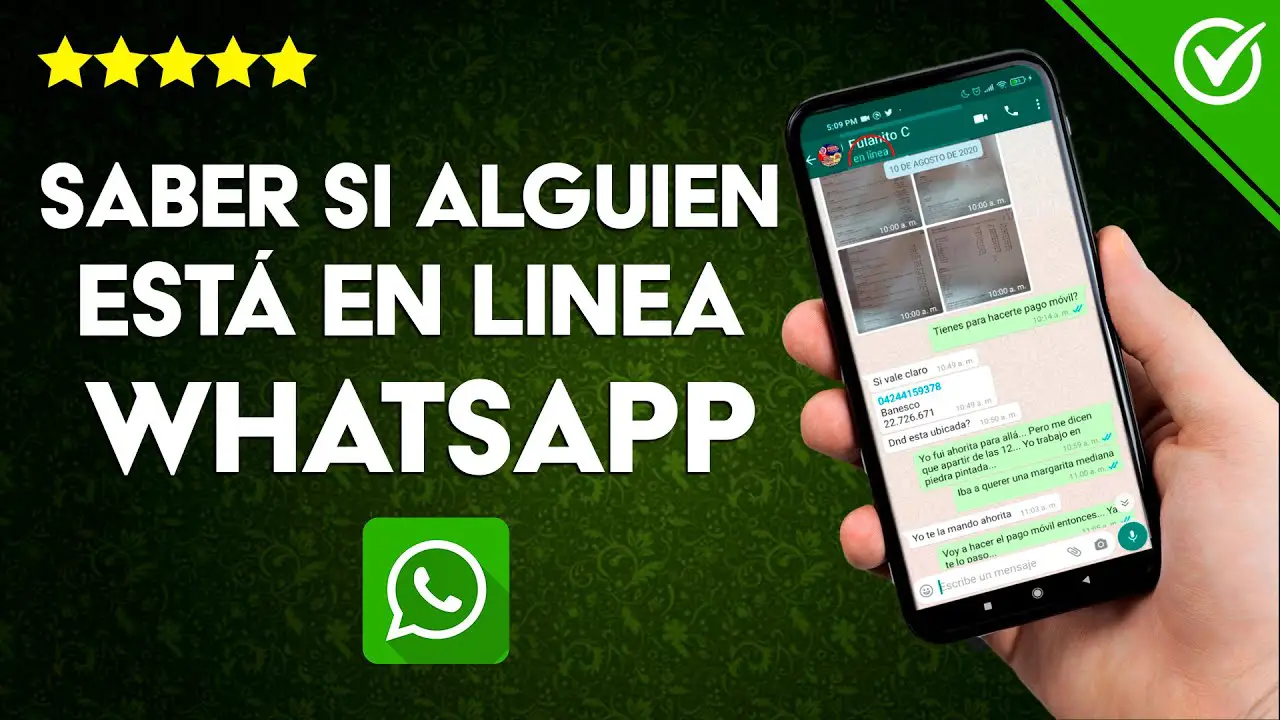 ¿cómo Saber Si Una Persona Está Disponible En Whatsapp Haras Dadincoemk 2617