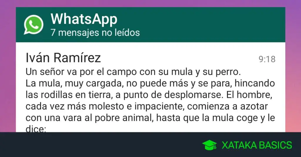 C Mo Usar El Widget De Whatsapp Para Leer Mensajes Sin Que Tus Contactos Lo Sepan Haras Dadinco