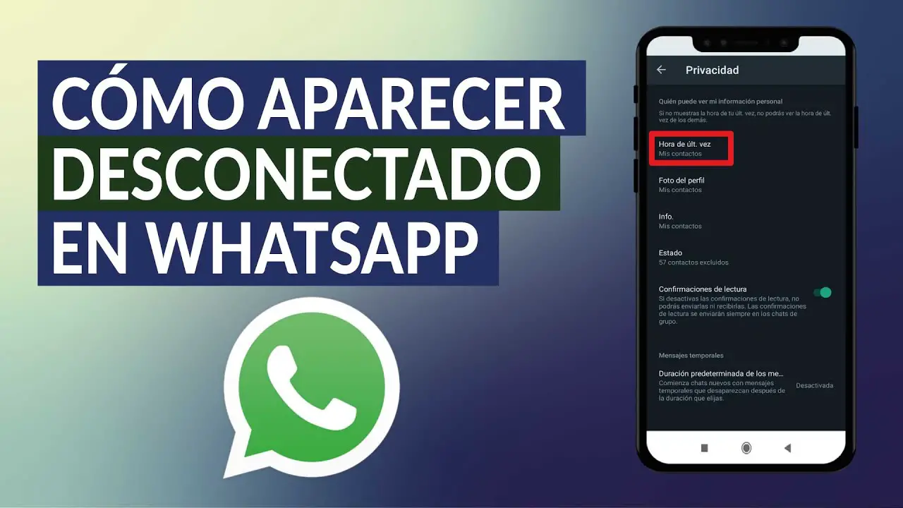 ¿cómo Hacer Para Aparecer Desconectado En El Whatsapp Haras Dadincoemk 3769