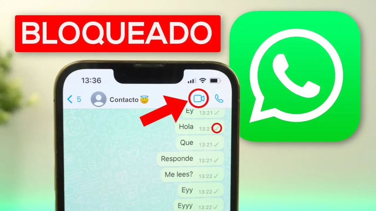 ¿cómo Saber Si Mi Whatsapp Está Bloqueado Haras Dadincoemk 8184