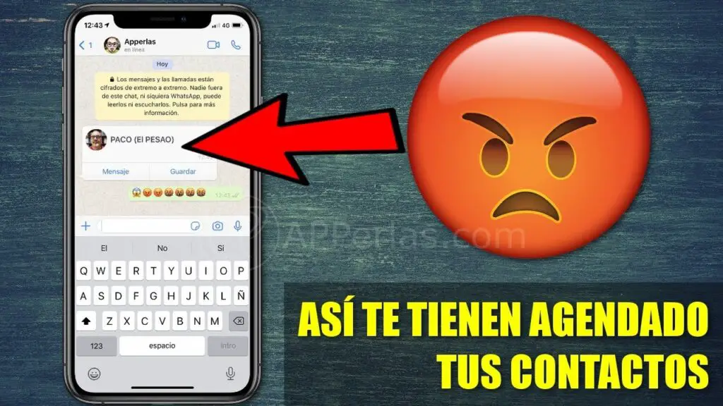 ¿cómo Se Llama La Aplicación Para Ver Cómo Te Tienen Agregado En Whatsapp Haras Dadincoemk 4519