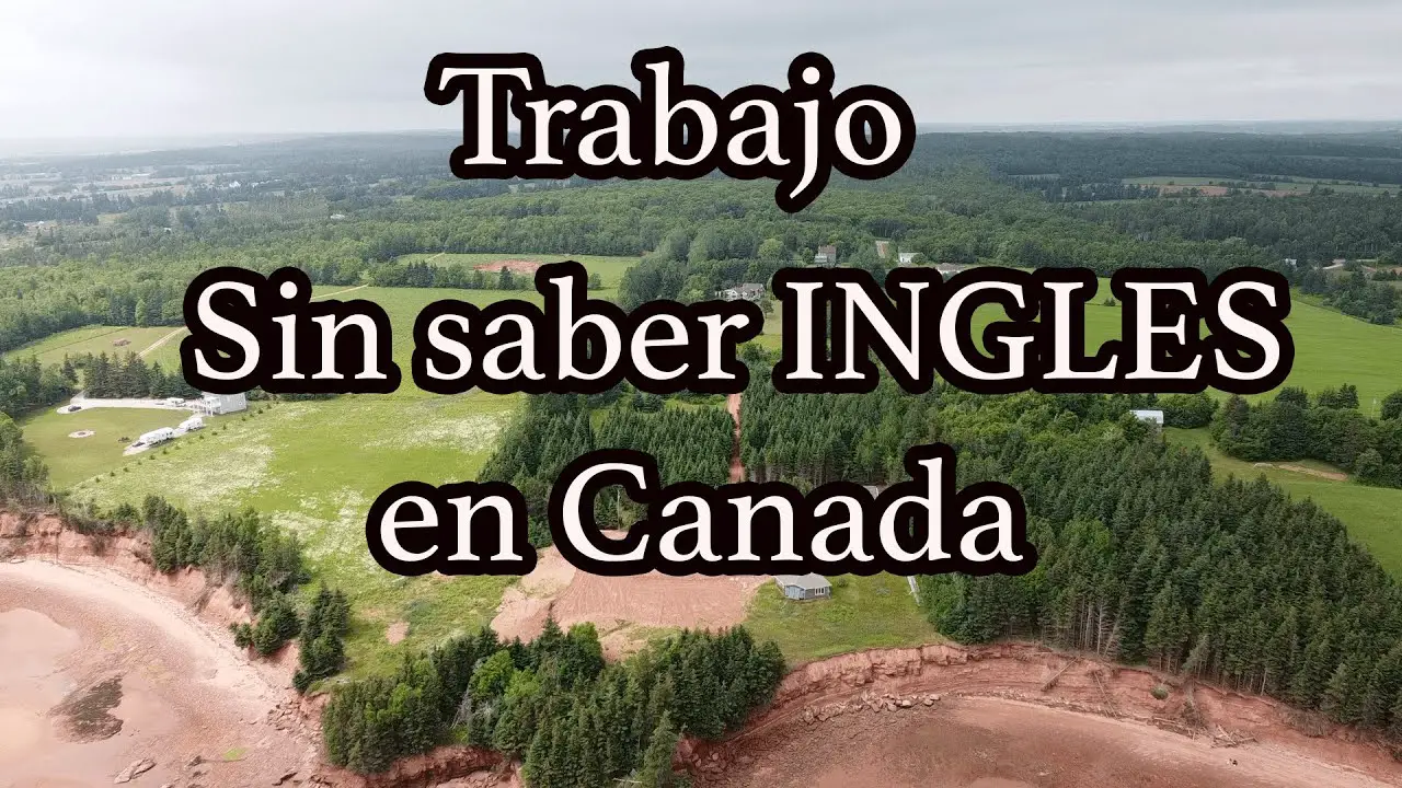 ¿cómo Irse A Vivir A Canadá Sin Saber Inglés Haras Dadincoemk 2917