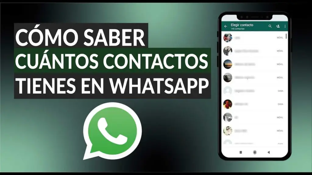 ¿cómo Ver Todos Los Contactos En Whatsapp Haras Dadincoemk 8207