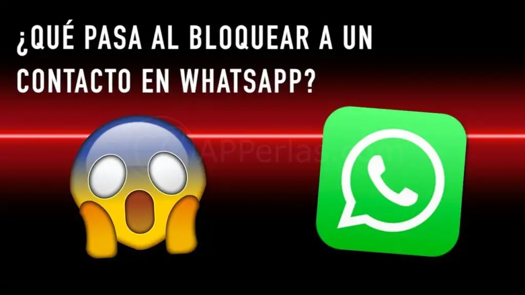 ¿qué Pasa Si Bloqueo Un Estado De Whatsapp Y Después Lo Dejo Bloqueado 24h Haras Dadincoemk 2722