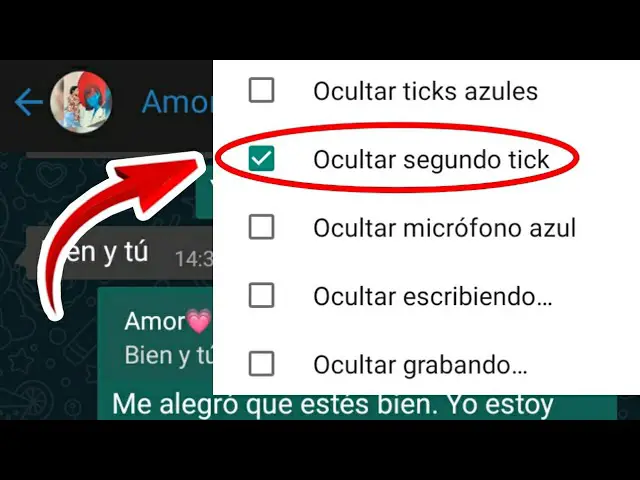 ¿cómo Ocultar El Tick Azul En Whatsapp Plus Haras Dadincoemk 6741