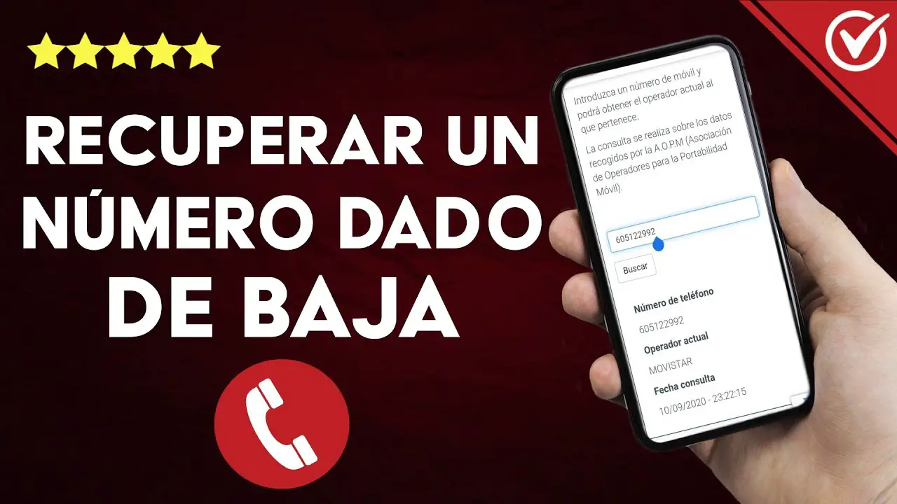 ¿cómo Recuperar Un Número De Teléfono Que Se Dio De Baja Haras Dadincoemk 8681