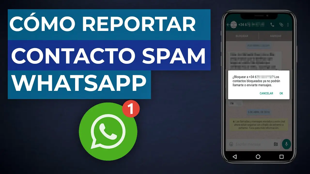 ¿cómo Reportar Spam En Un Grupo De Whatsapp Haras Dadincoemk 8852