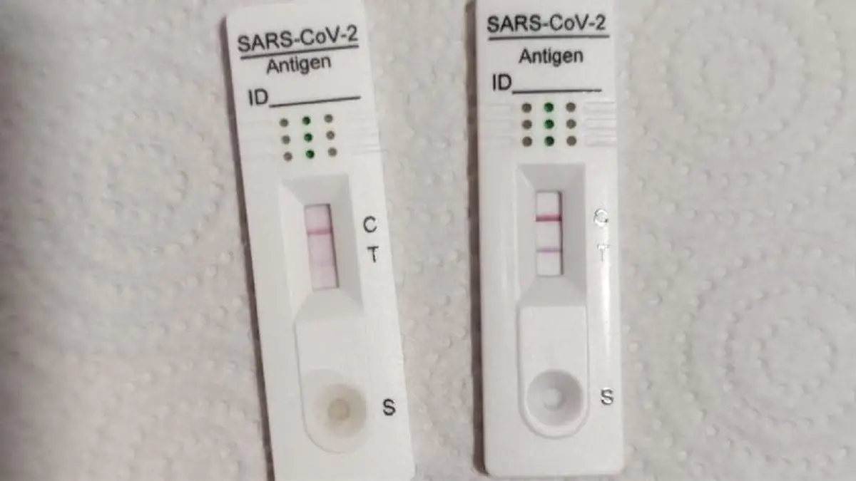 ¿cómo Saber Si Mi Línea At Haras Dadincoemk 2794