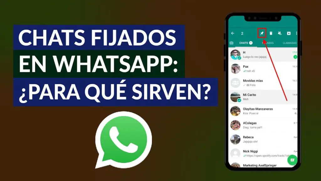 ¿qué Es Un Chat Fijado En Whatsapp Haras Dadincoemk 3059