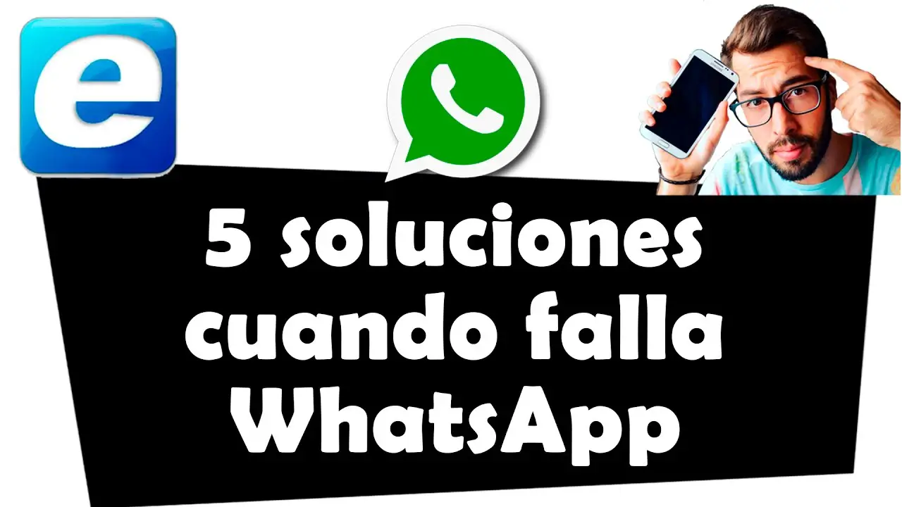 ¿qué Puedo Hacer Si Mi Whatsapp No Funciona Haras Dadincoemk 0710