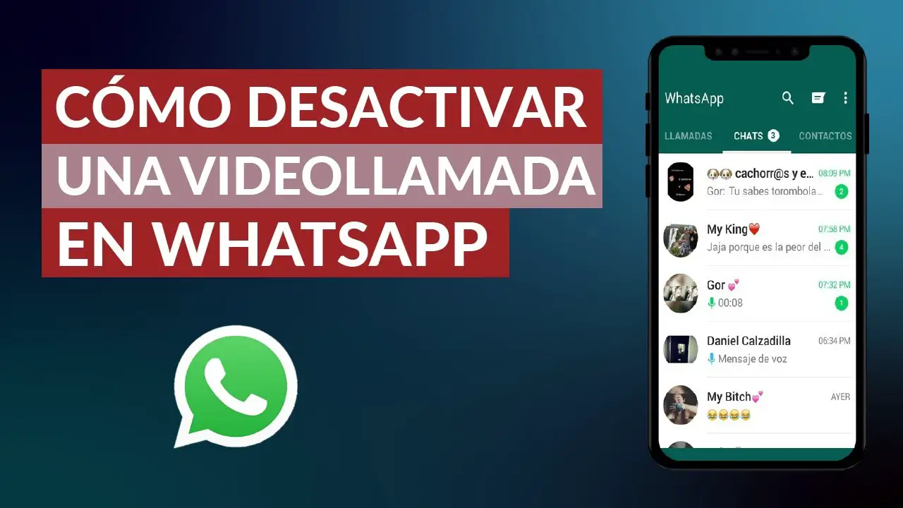 ¿cómo Desactivar Las Llamadas O Videollamadas En Whatsapp Haras Dadincoemk 0856