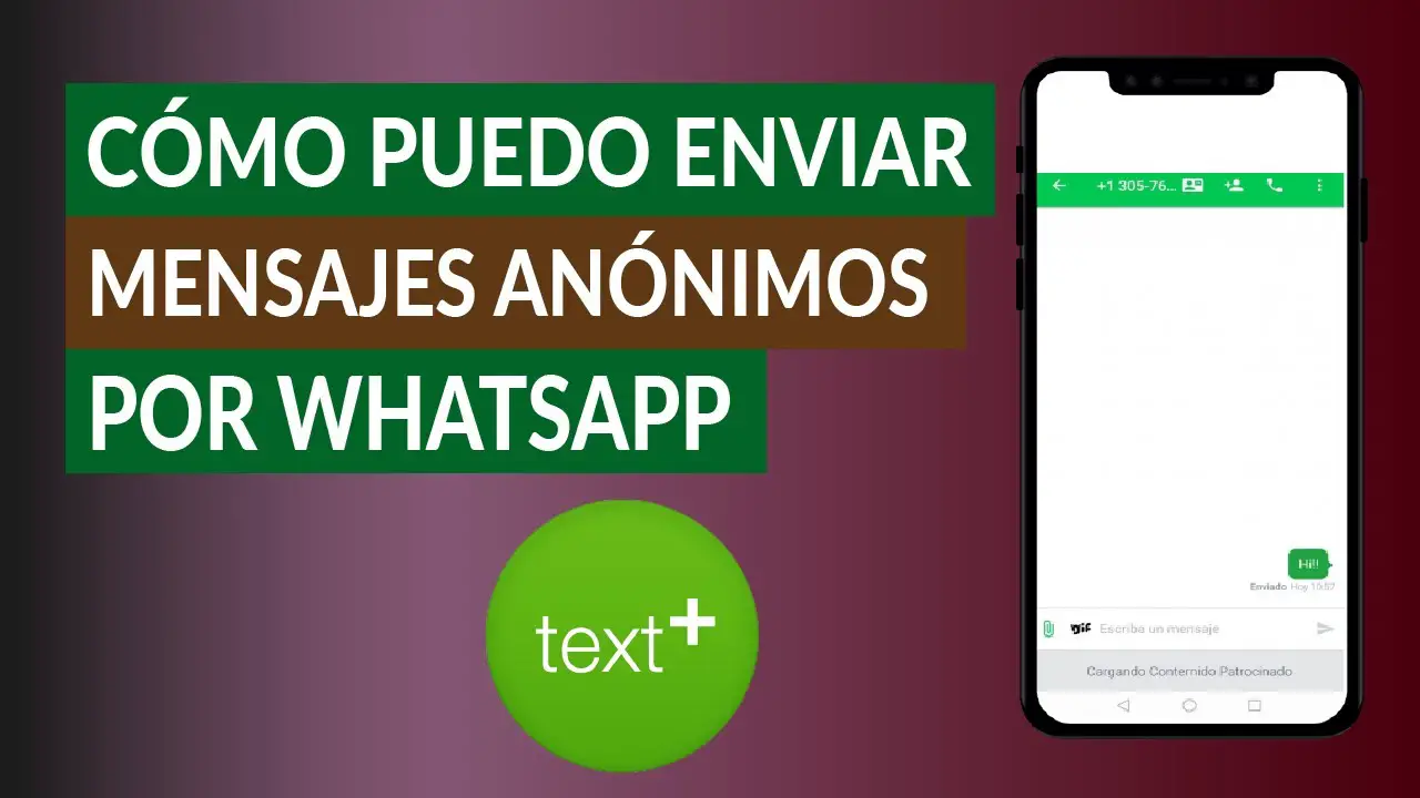 ¿cómo Enviar Un Mensaje De Texto Sin Que Sepan Mi Número Haras Dadincoemk 6469