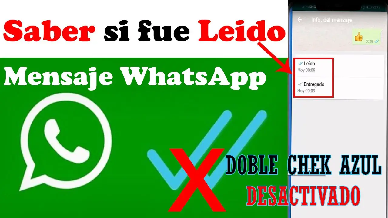 ¿cómo Saber Si Un Mensaje Ha Sido Leído En Whatsapp Haras Dadincoemk 7386