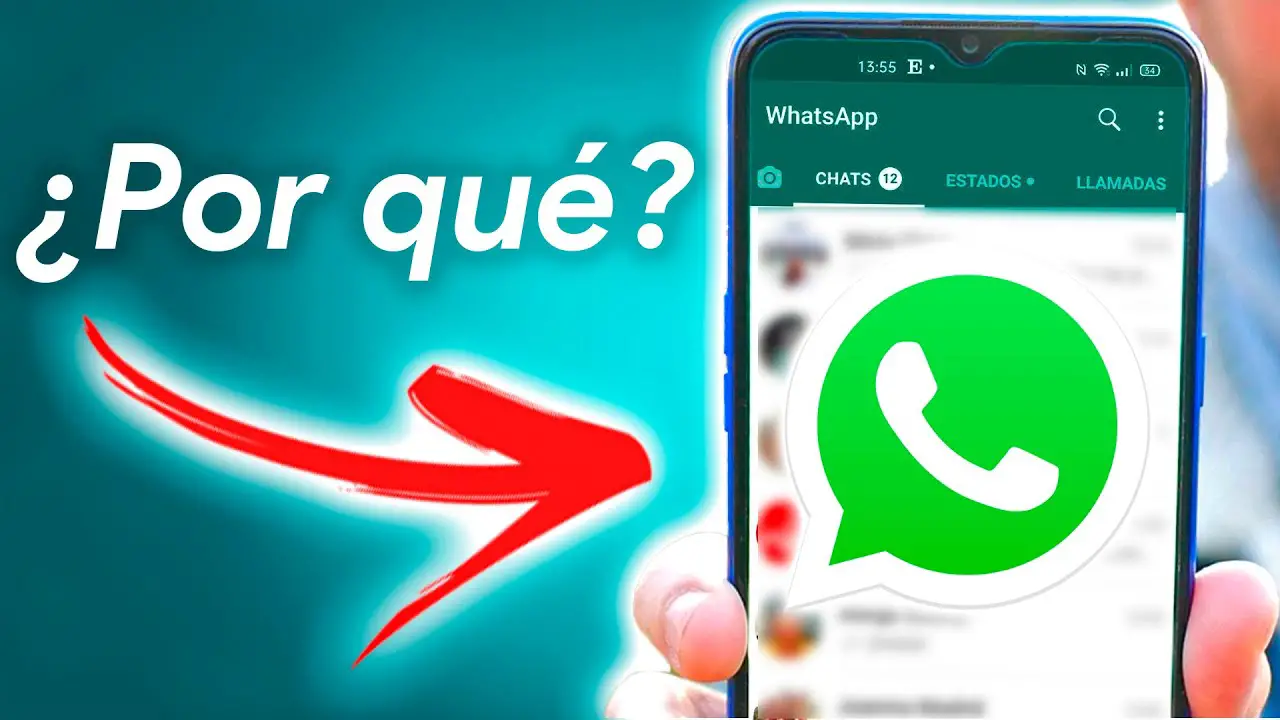 ¿qué Hacer Si No Me Llegan Los Mensajes De Whatsapp Haras Dadincoemk 1669