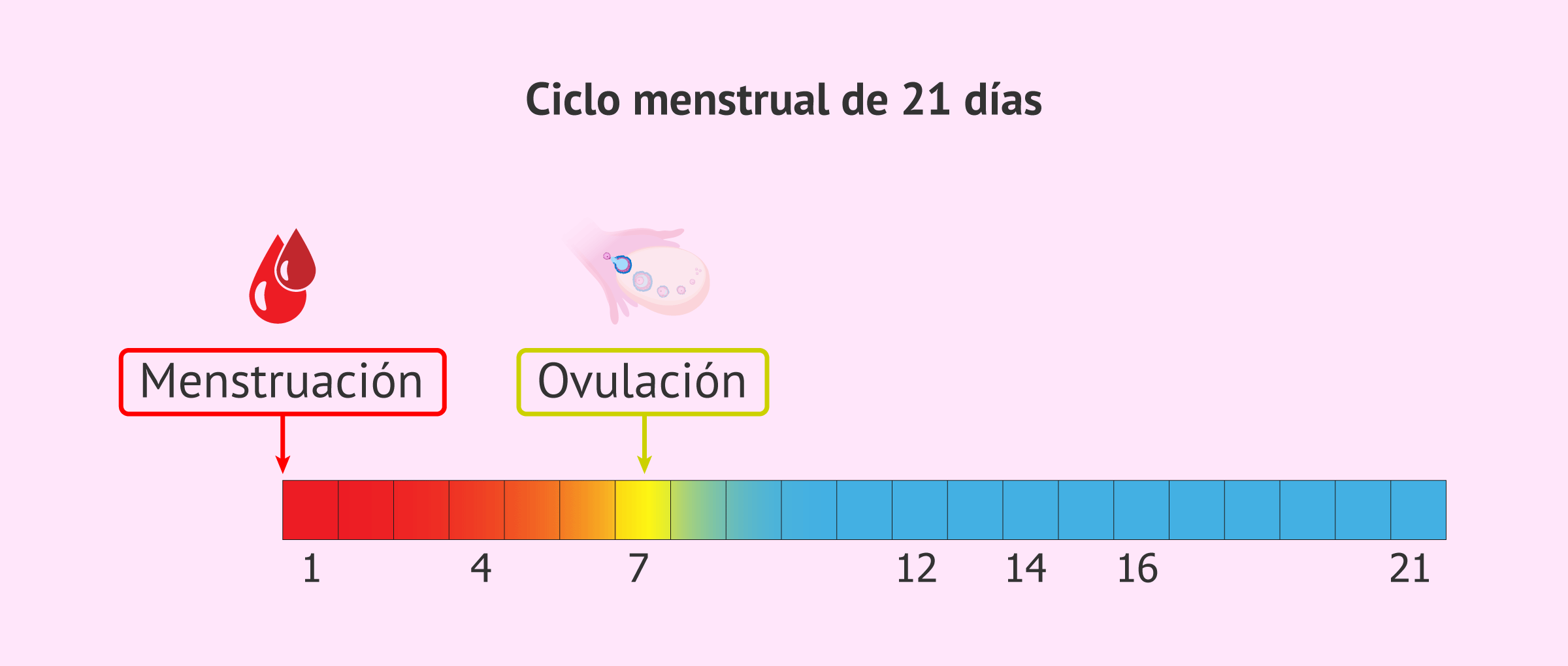 ¿qué Pasa Si Me Vengo Todos Los Días Haras Dadincoemk 7174