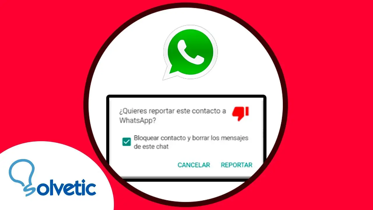 ¿qué Pasa Si Por Error Bloqueo Y Reporto A Alguien En Whatsapp Haras Dadincoemk 4655