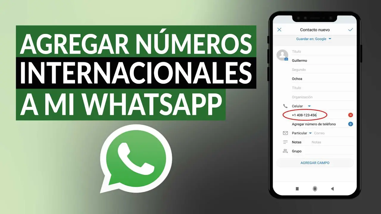 ¿cómo Agregar Un Número De 11 Digitos En Whatsapp Haras Dadincoemk 7001