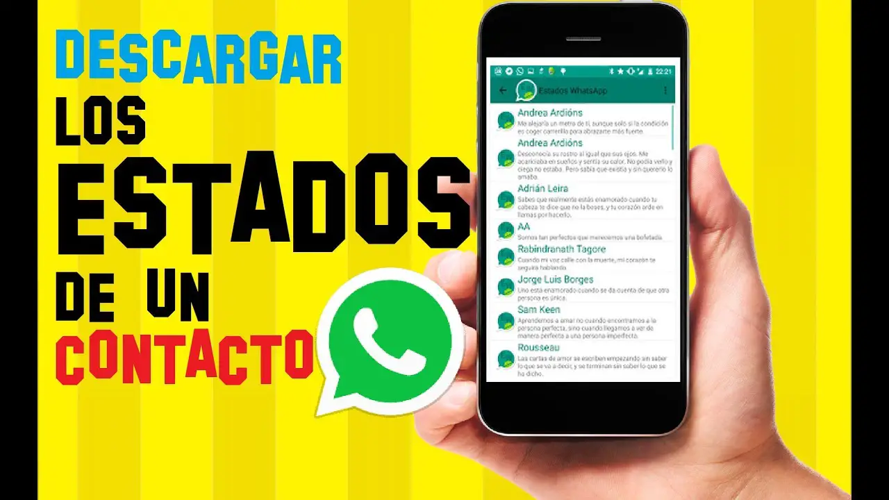 ¿cómo Descargar El Estado De Whatsapp De Otra Persona Haras Dadincoemk 1889