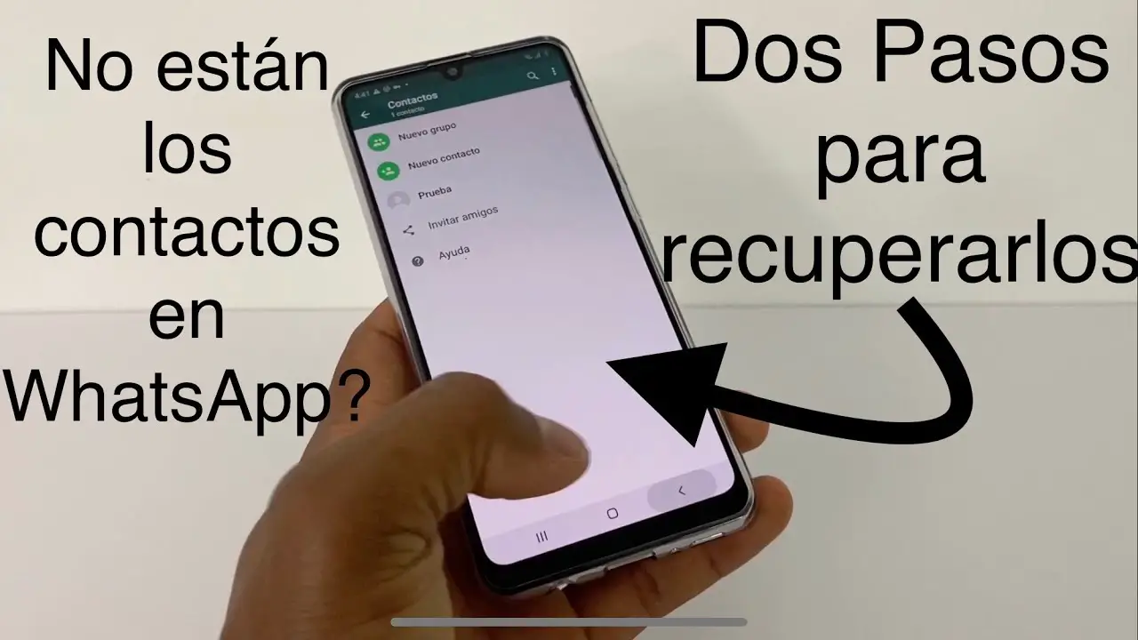 ¿cómo Encontrar Un Contacto De Whatsapp Borrado Haras Dadincoemk 2296