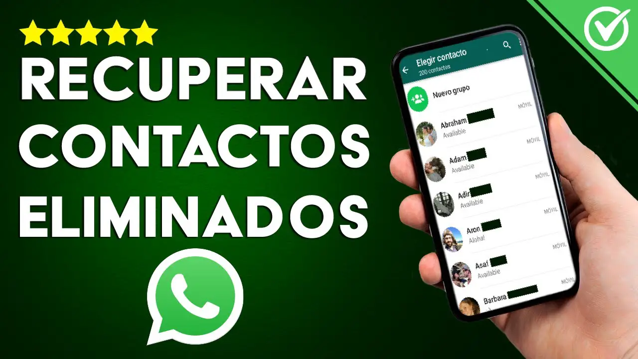 ¿cómo Encontrar Un Número De Whatsapp Borrado Haras Dadincoemk 5548