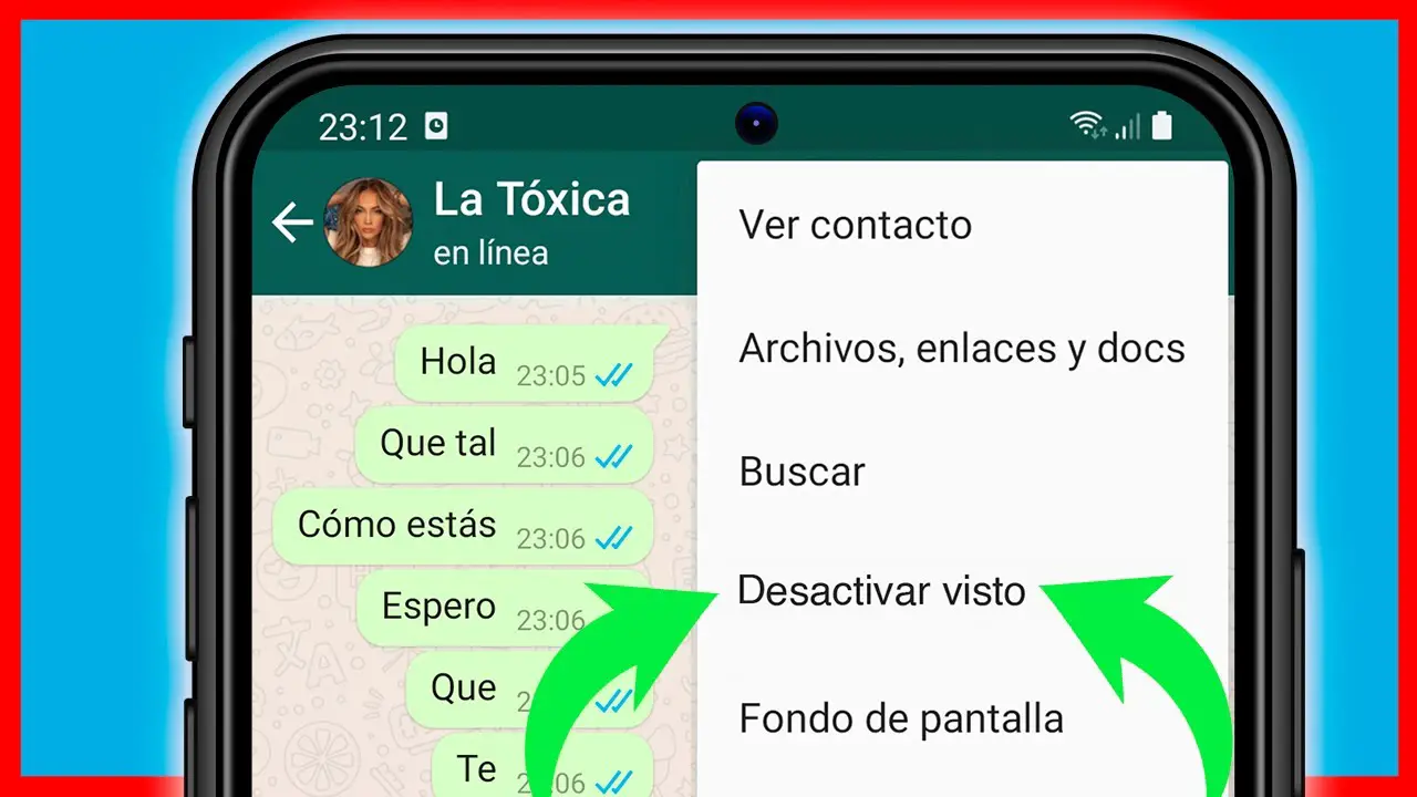 ¿cómo Funciona El No Visto En Whatsapp Haras Dadincoemk 0583