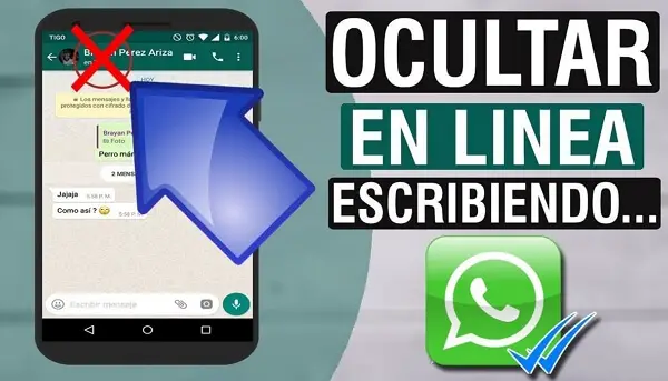 ¿cómo Quitar El En Línea Y Escribiendo De Whatsapp En Iphone Haras Dadincoemk 4709