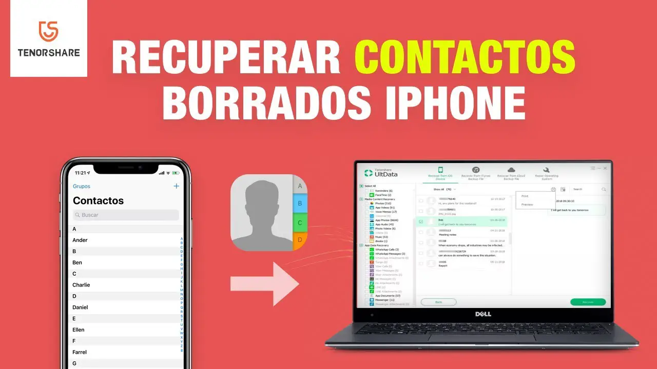 ¿cómo Recuperar Contactos De Whatsapp Borrados Y Eliminados Del Iphone Haras Dadincoemk 6567