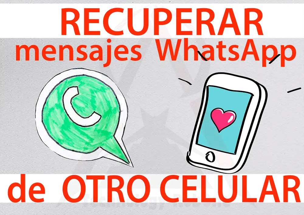 ¿cómo Recupero Mis Chats De Whatsapp Si Cambié De Teléfono Haras Dadincoemk 2531