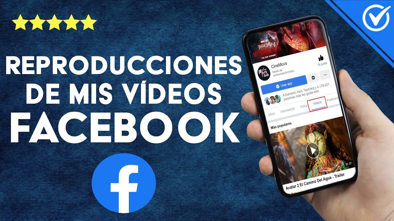 ¿cómo Saber Quién Ve Nuestros Videos En Facebook Haras Dadincoemk 4083