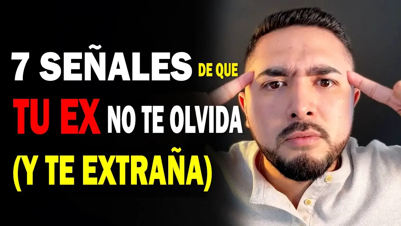 ¿cómo Saber Si Tu Ex No Te Olvida Haras Dadinco