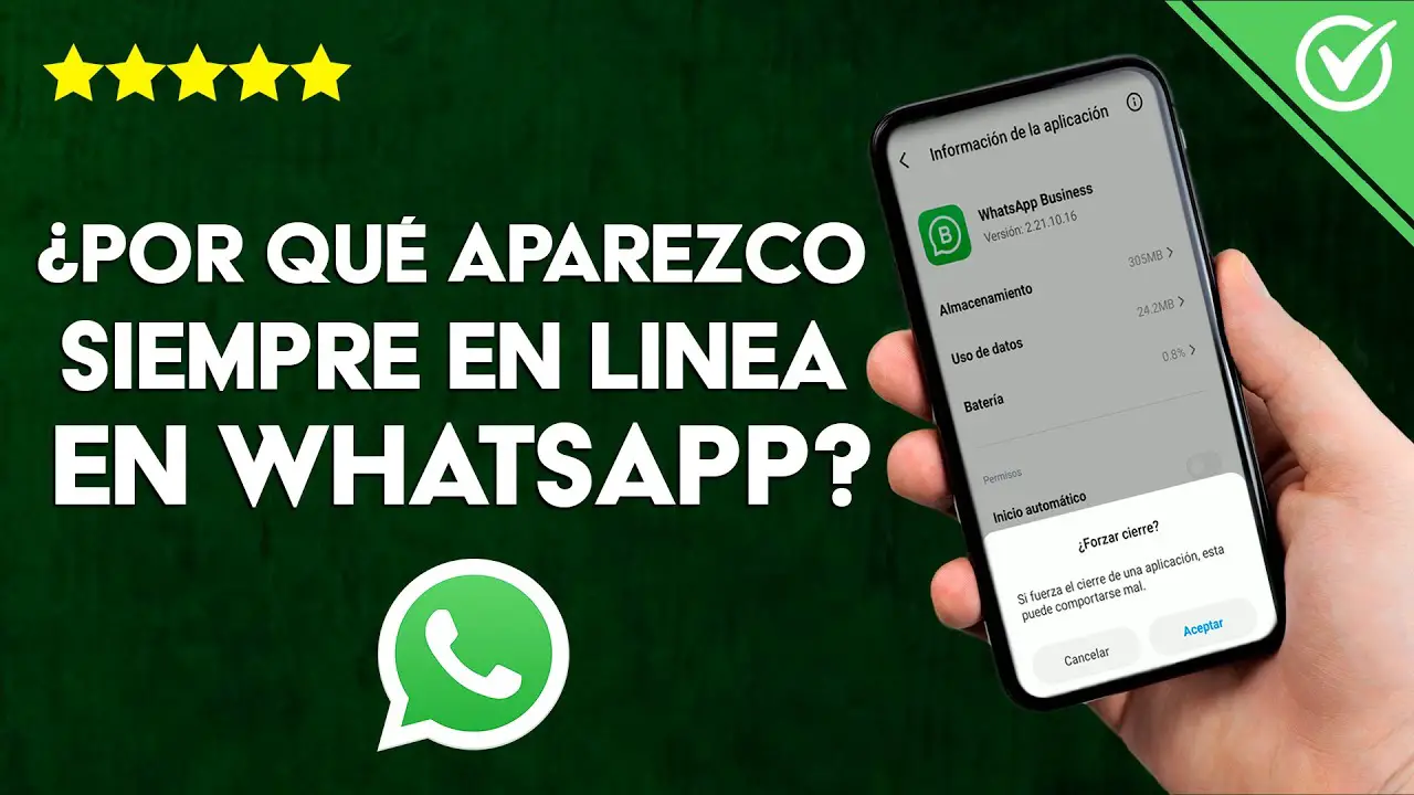 ¿por Qué Aparece En Línea En Whatsapp Haras Dadincoemk 3484