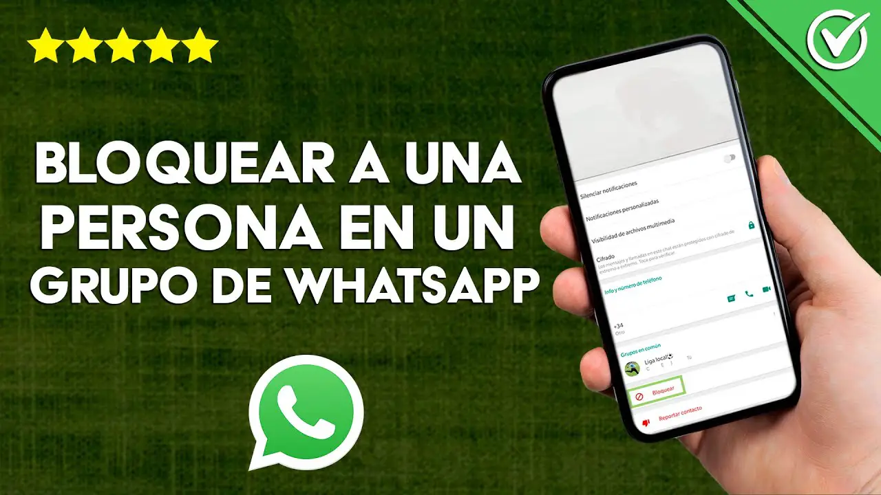 ¿cómo Bloquear A Una Persona Dentro De Un Grupo De Whatsapp Haras Dadincoemk 6587