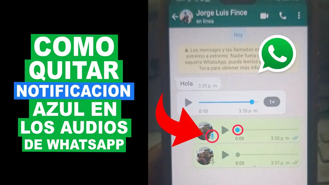 ¿cómo Quitar El Ruido De Los Audios De Whatsapp Haras Dadincoemk 6001