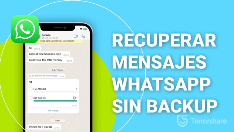 ¿cómo Recuperar Un Chat De Whatsapp En Ios Sin Copia De Seguridad Haras Dadincoemk 2668