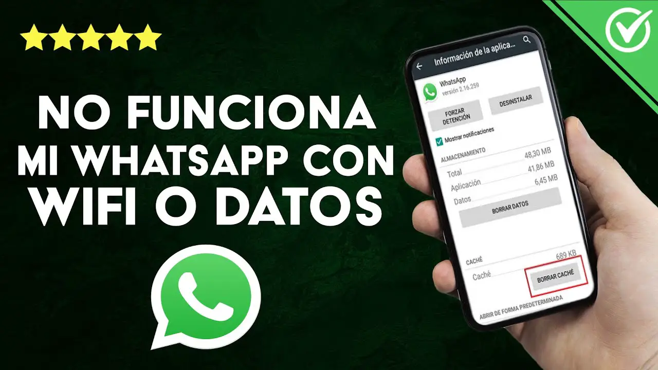 ¿por Qué Whatsapp No Funciona Con Wi Fi Haras Dadincoemk 5736
