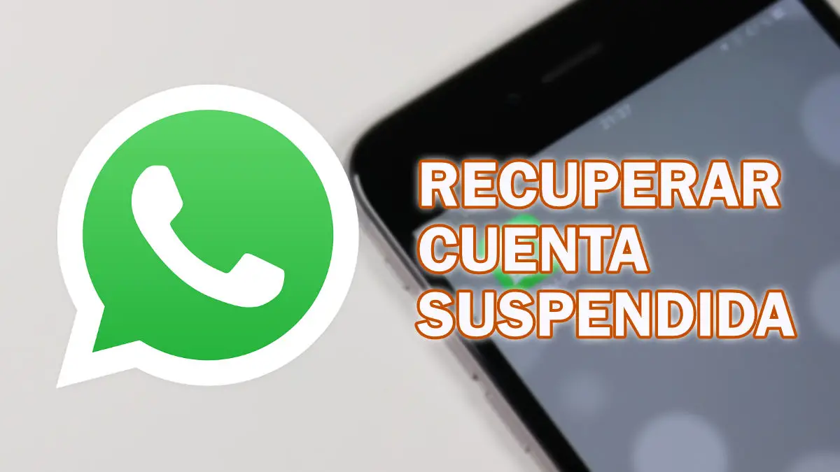 ¿qué Hacer Si Mi Cuenta De Whatsapp Está Suspendida Haras Dadincoemk 0566