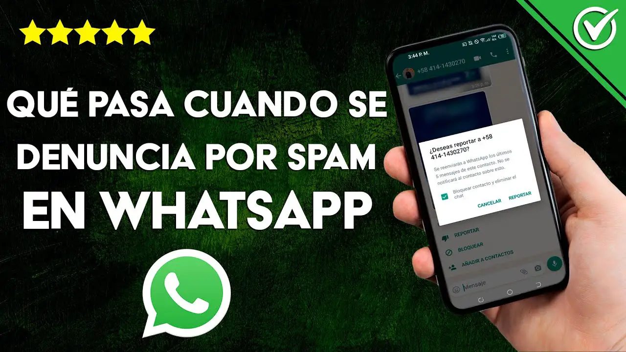 ¿cómo Detectar Spam En Whatsapp Haras Dadincoemk 5642