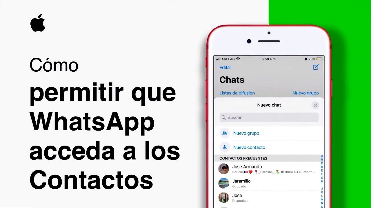 ¿cómo Hacer Para Que Whatsapp Pueda Acceder A Mis Contactos Haras Dadincoemk 7330